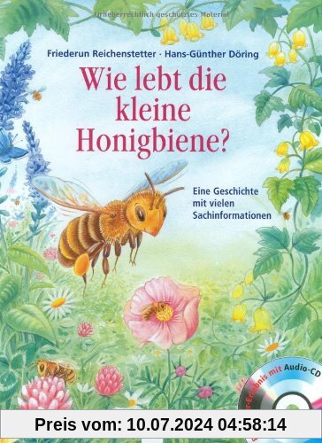 Wie lebt die kleine Honigbiene?: Eine Geschichte mit vielen Sachinformationen